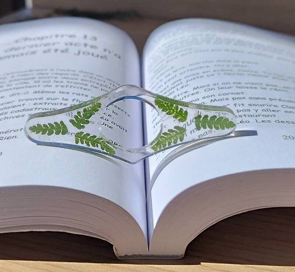 L'anneau de Fougére