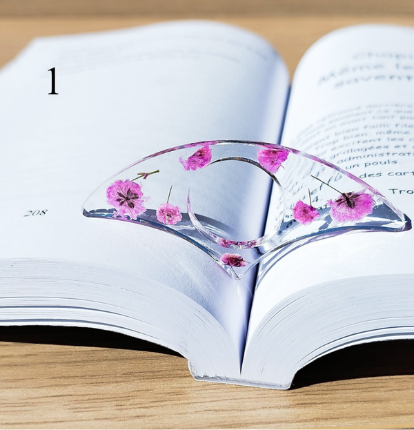 L'anneau de Gypsophile