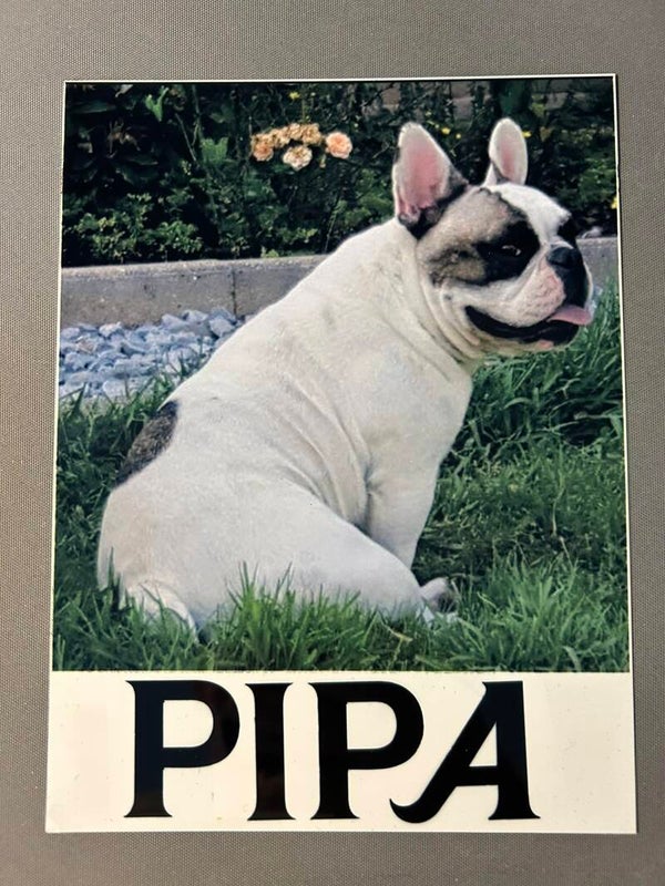 plaque métal personnalisé