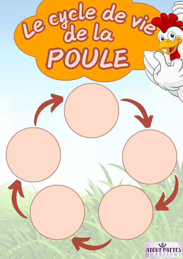 *PDF* Affiche : la poule