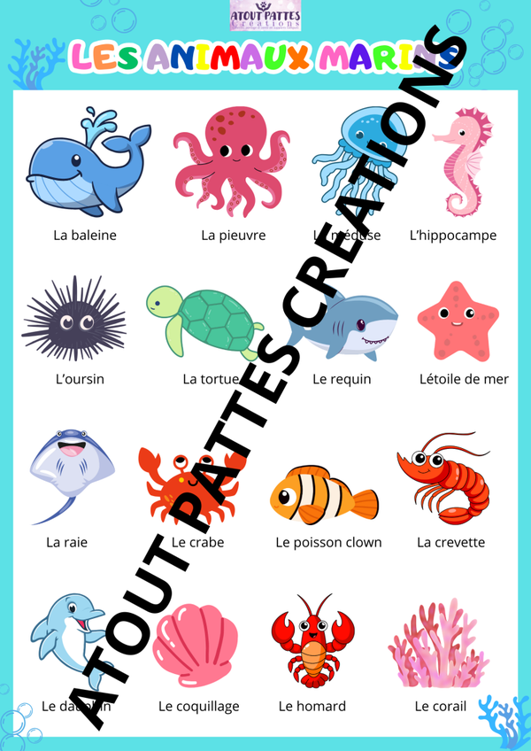 *VERSION CONFECTIONNÉE* AFFICHES DIVERS