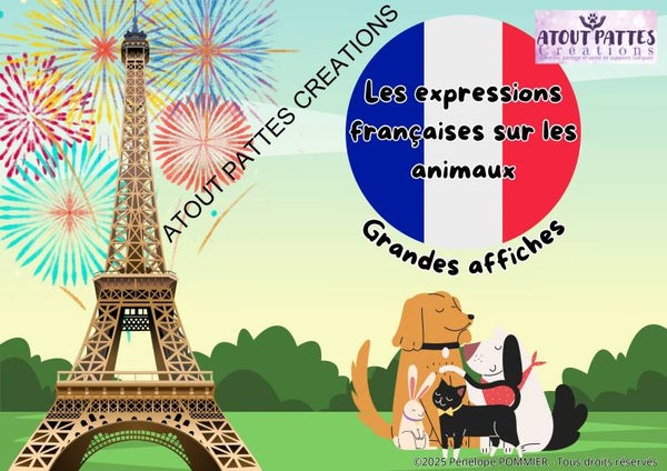 *VERSION CONFECTIONNÉE* Les expressions françaises avec les animaux