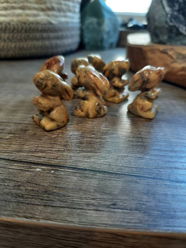 Crazy lace agaat konijntje