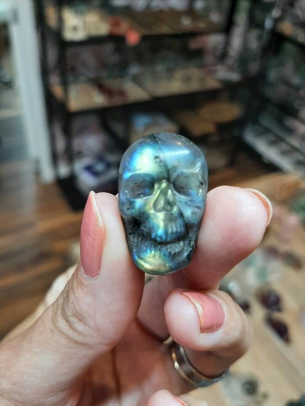 Labradoriet mini skull