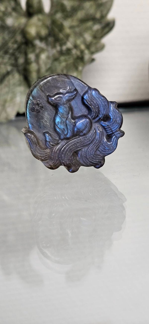 Labradoriet ninetail Fox