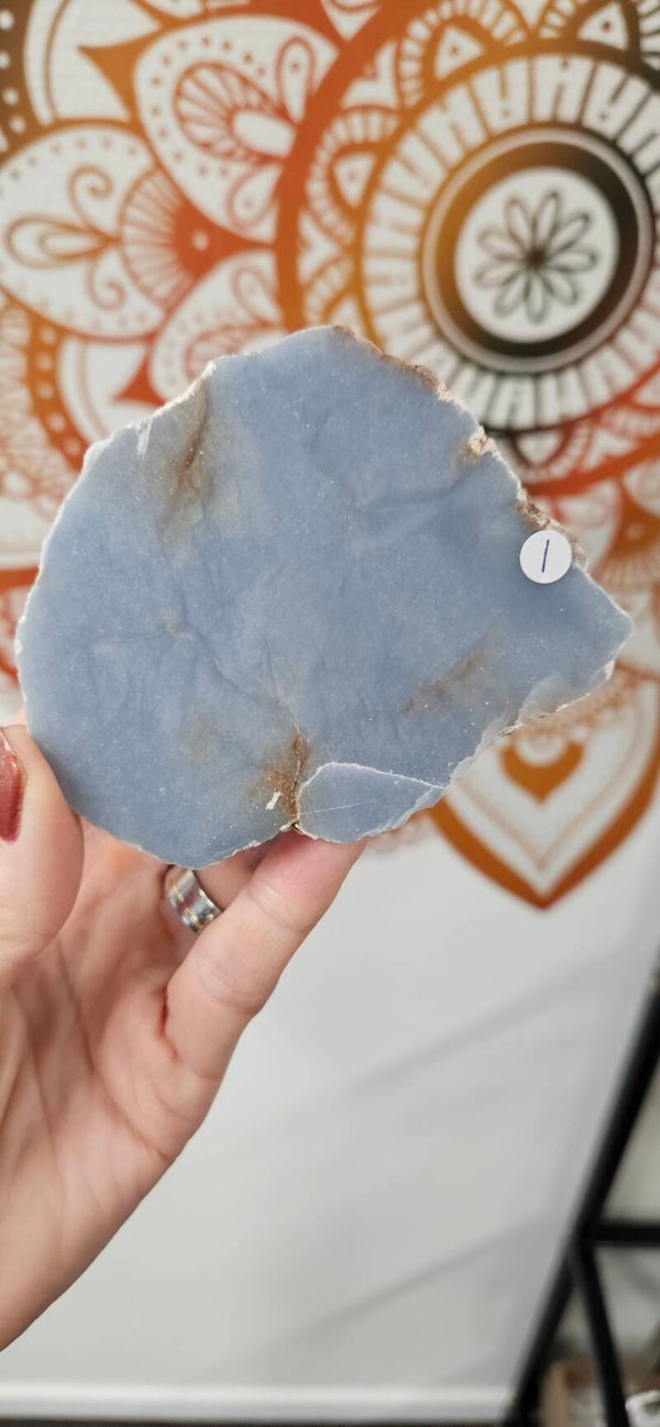 Angeliet 💙 diverse