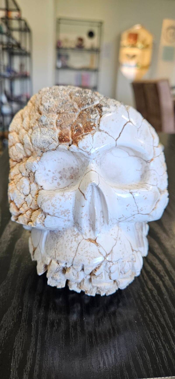 Magnesiet skull uit Australië