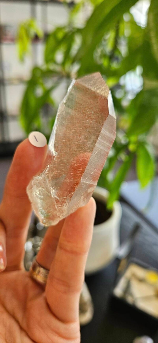 roze Lemurische lasers