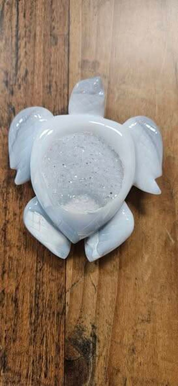 druzy Agaat schildpad