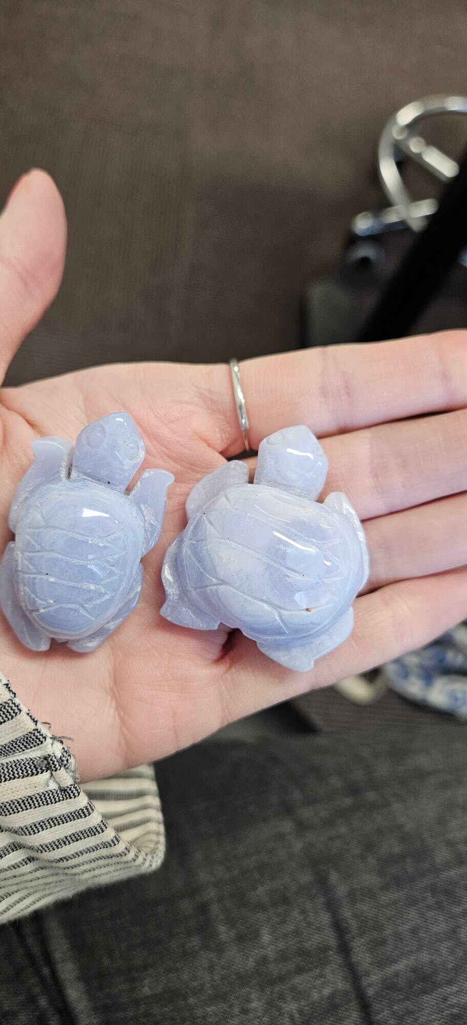 bijzondere Blue lace agaat schildpadjes
