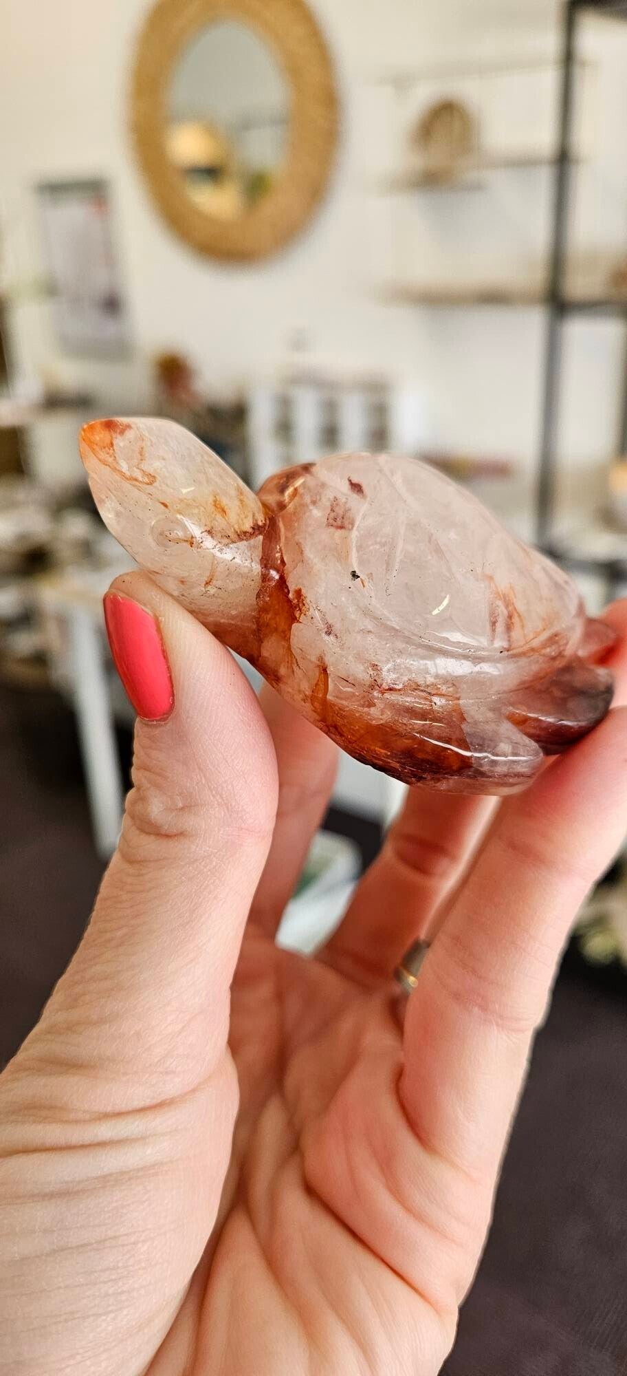 pink fire Azeztuliet schildpad