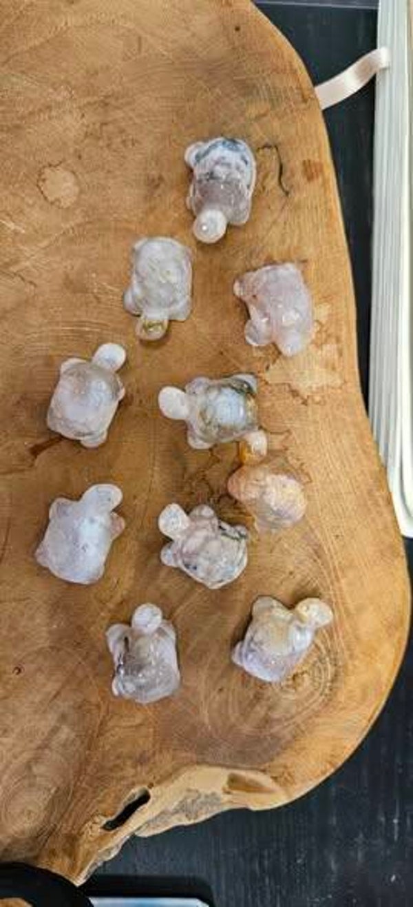 Bloemagaat mini schildpadjes