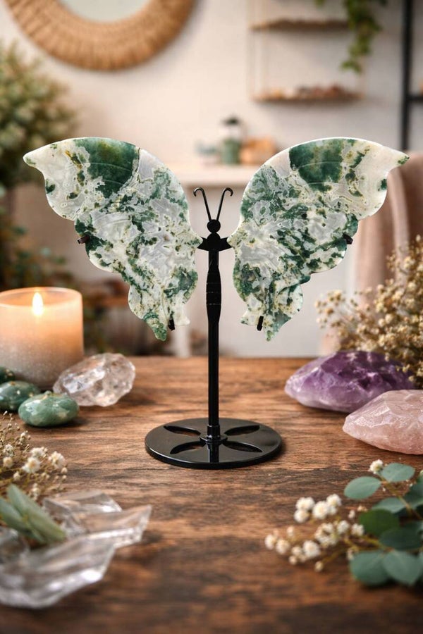 grote Mosagaat vlinder