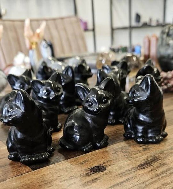 zwarte Obsidiaan katten