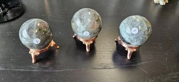 Labradoriet bollen