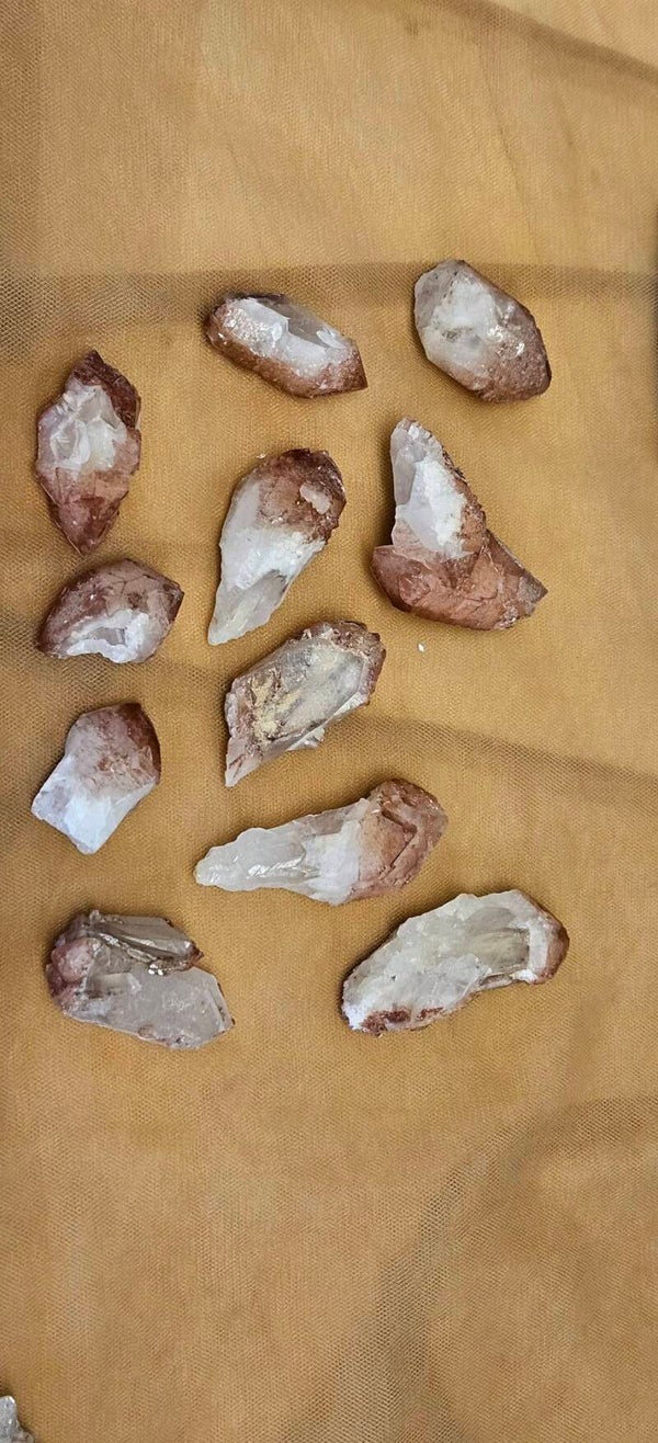 Pink Sugar Blade , diverse