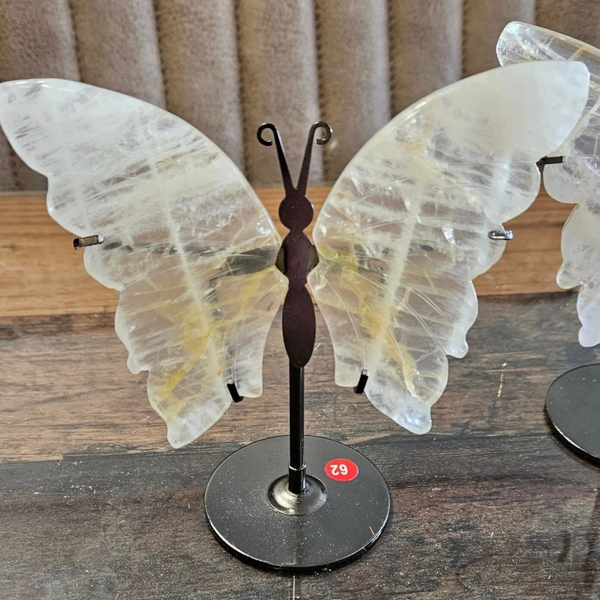 Golden healer vlinder 62