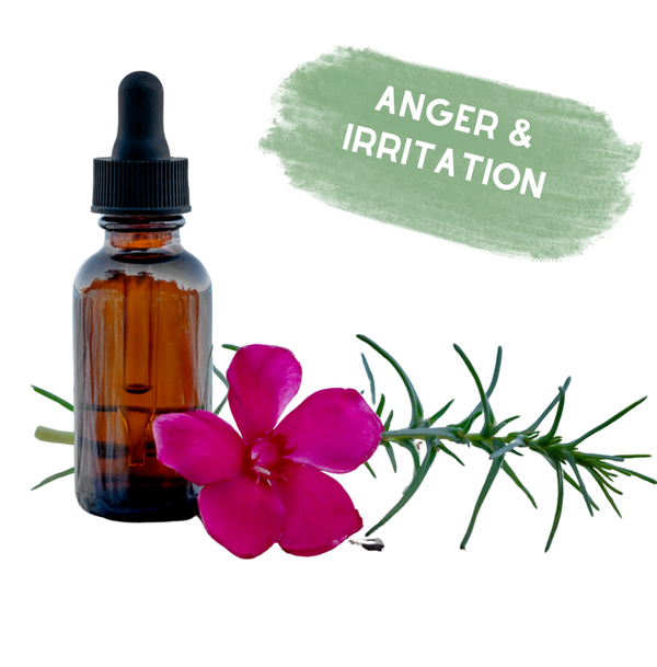 Anger & Irritation