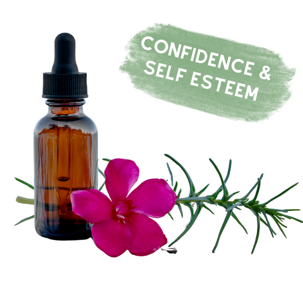 Confidence & Self-Esteem