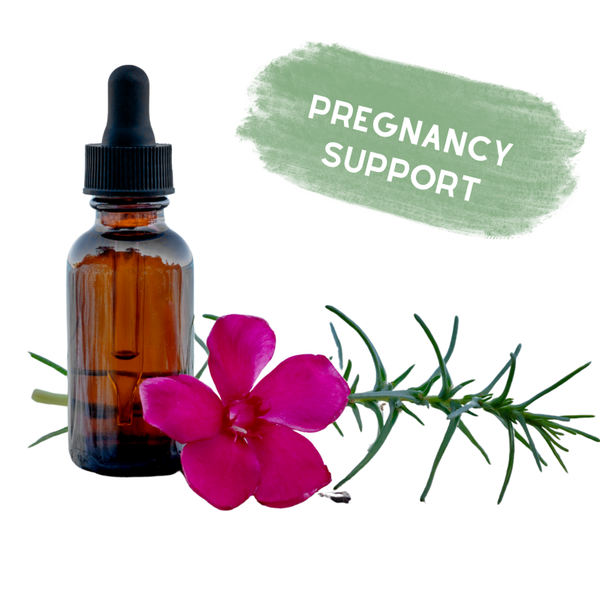 Pregnancy Support