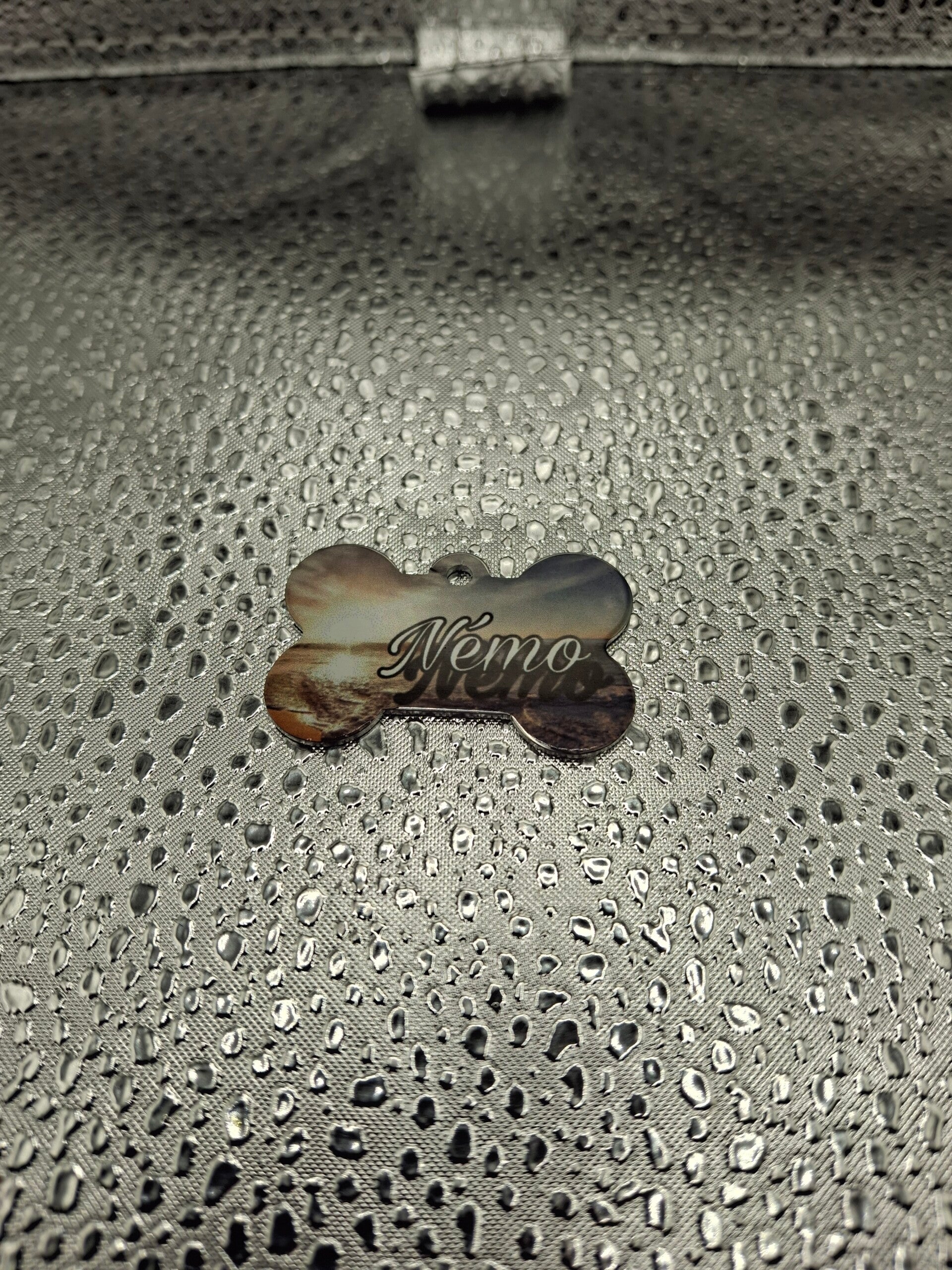 Pendentif pour chien ou chat à personnaliser