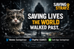 Saving Strayz Animal Rescue