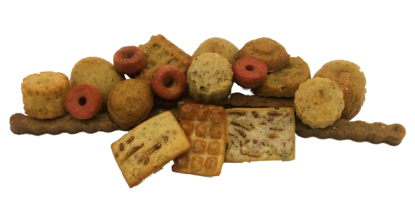 Hundekekse mit Insekten MIX