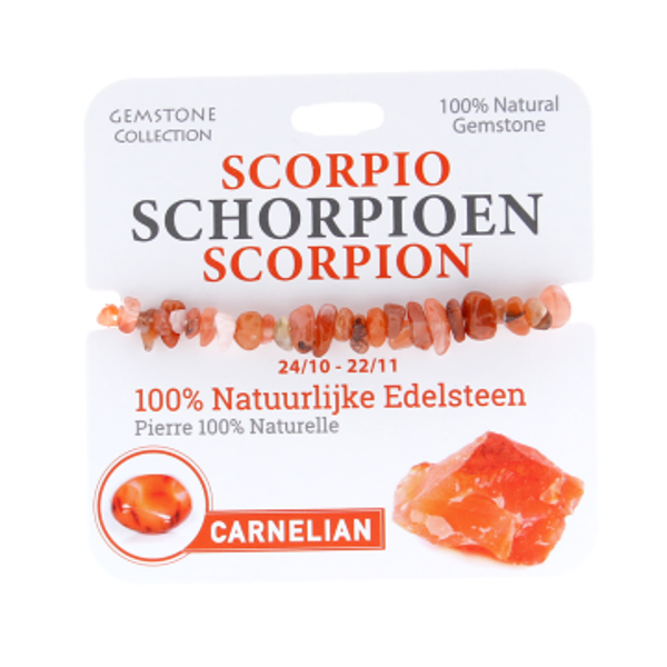 Gemstones collection 100% natuurlijke edelsteen Armband (sterrenbeelden)