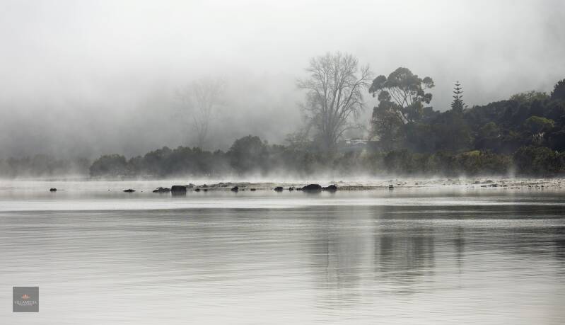 Motukaraka mist
