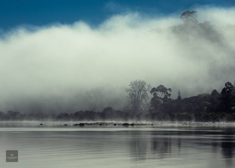 Motukaraka mist