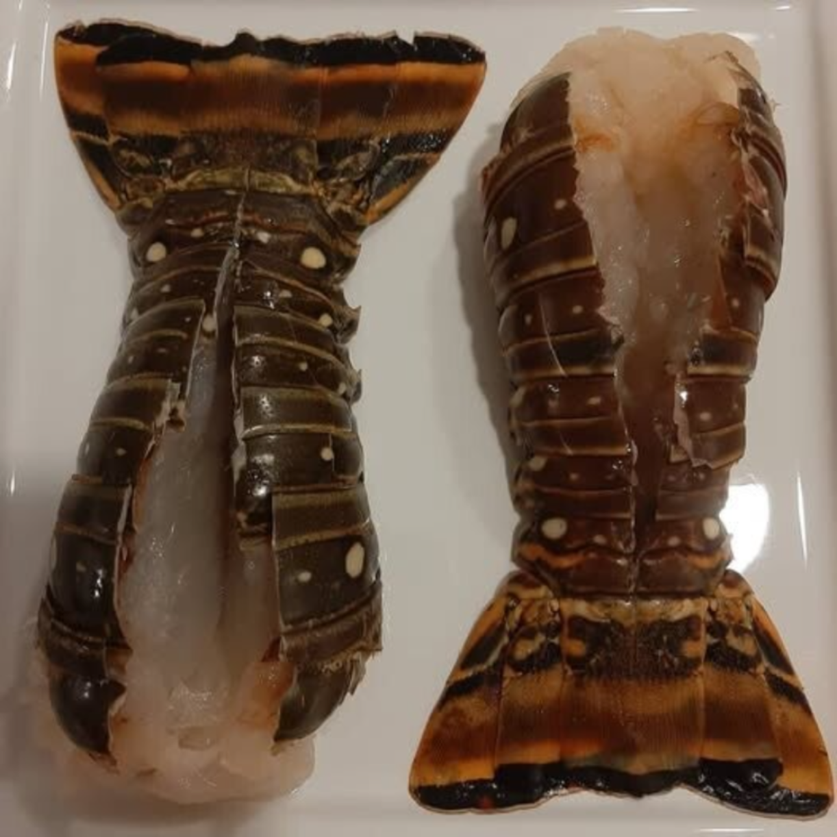 Queue de langouste 6oz 3 LBS