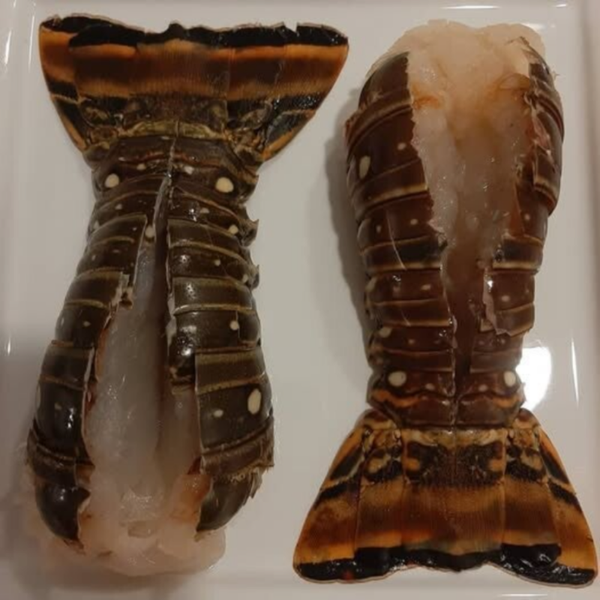 Queue de langouste 6oz 3 LBS