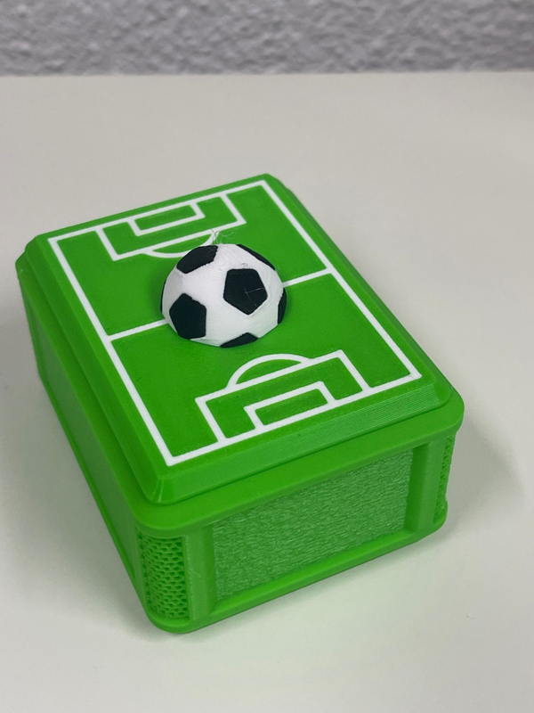 Panini WM Stickerbox