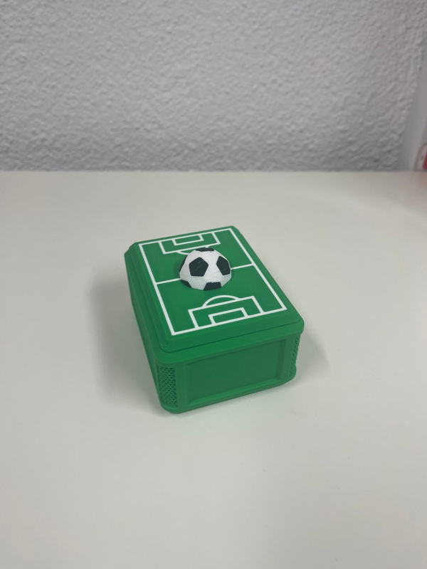 Panini WM Stickerbox Dunkelgrün