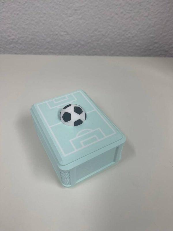 Panini WM Stickerbox Hellgrün