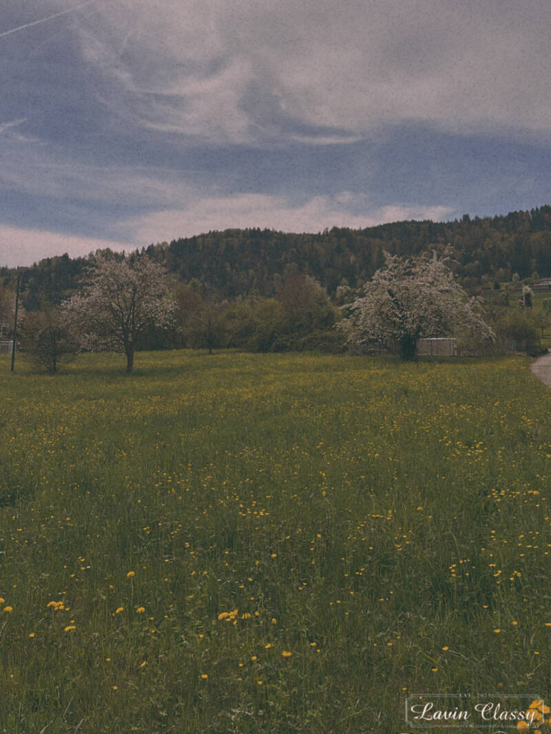 {Maur, Zürich Schweiz · 21. April 2026} 