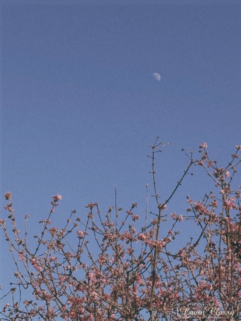 {Maur, Zürich Schweiz · 21. April 2026} 