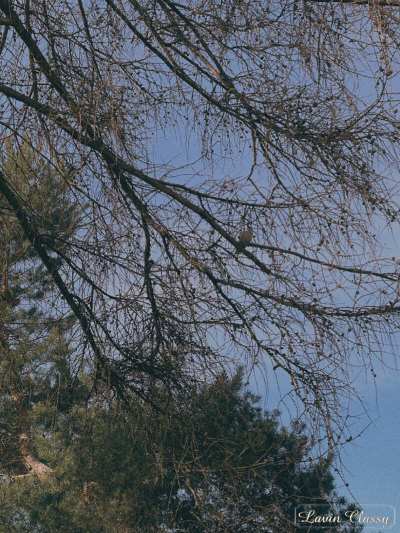 {Maur, Zürich Schweiz · 21. April 2026} 