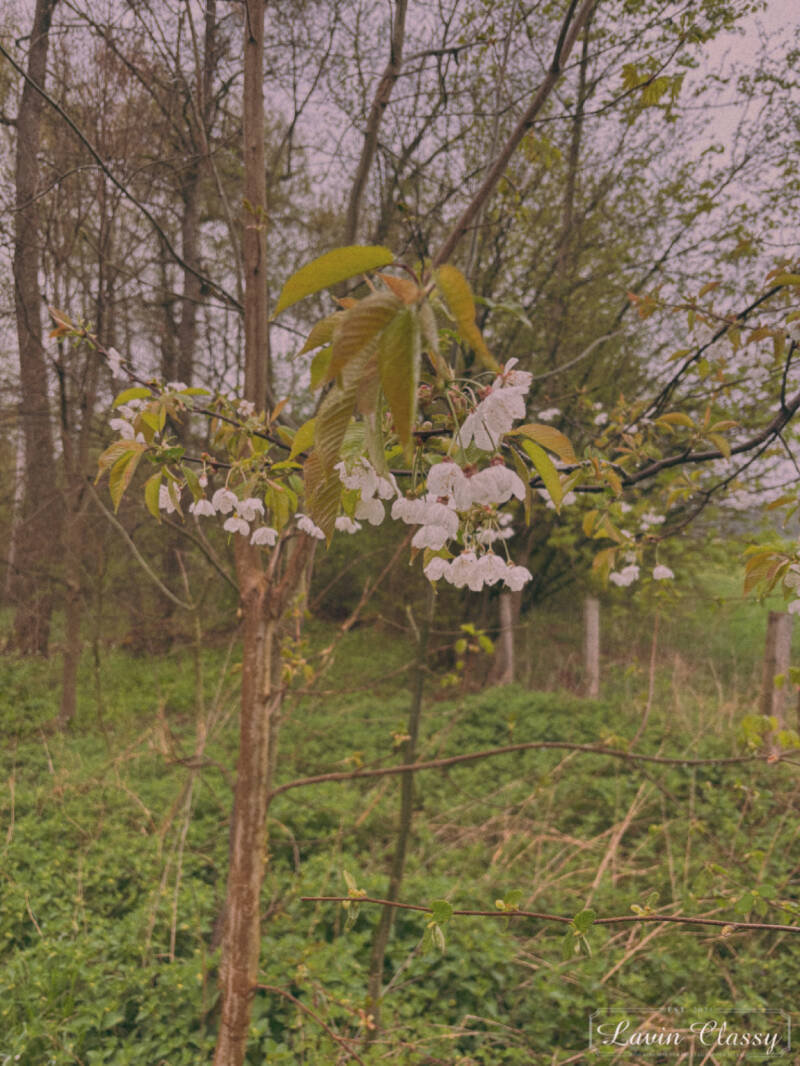 {Maur, Zürich Schweiz · 21. April 2026} 