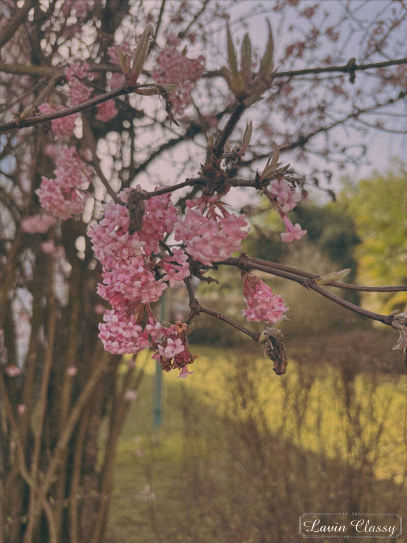 {Maur, Zürich Schweiz · 21. April 2026} 
