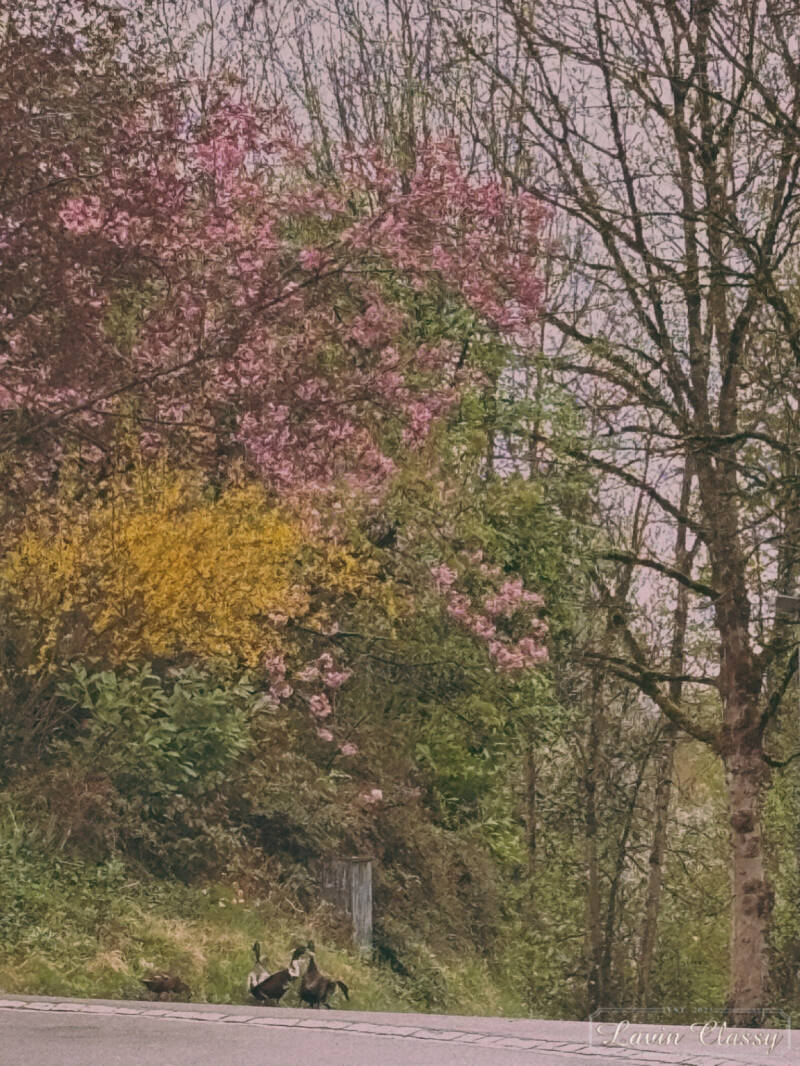 {Maur, Zürich Schweiz · 21. April 2026} 