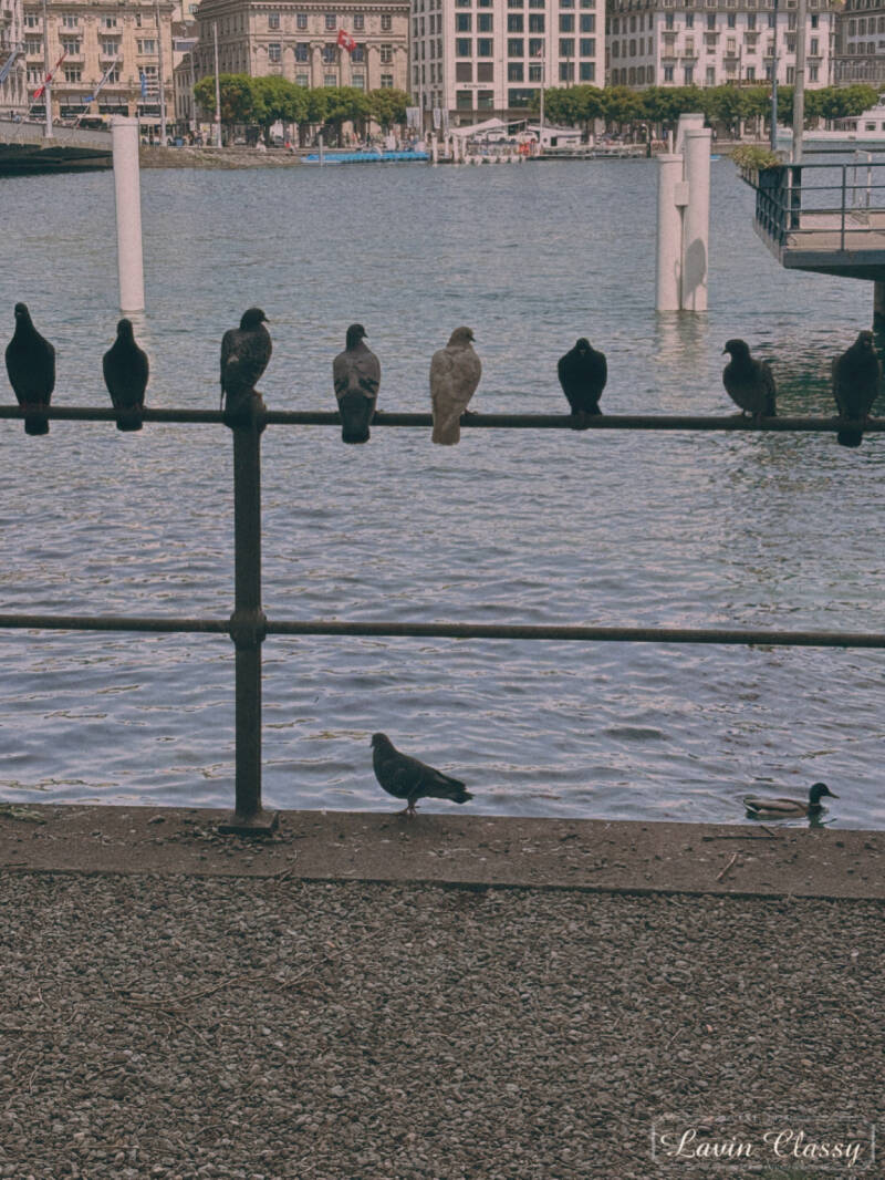 {Maur, Zürich Schweiz · 21. April 2026} 