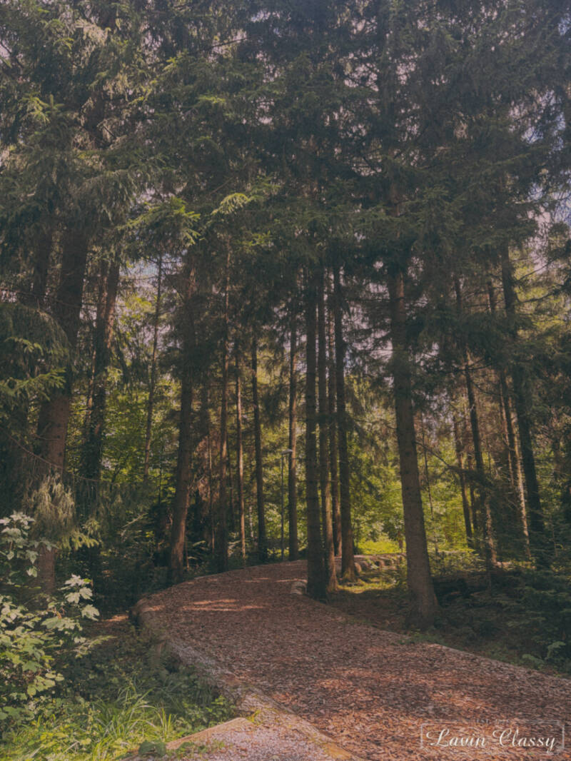 {Maur, Zürich Schweiz · 21. April 2026} 