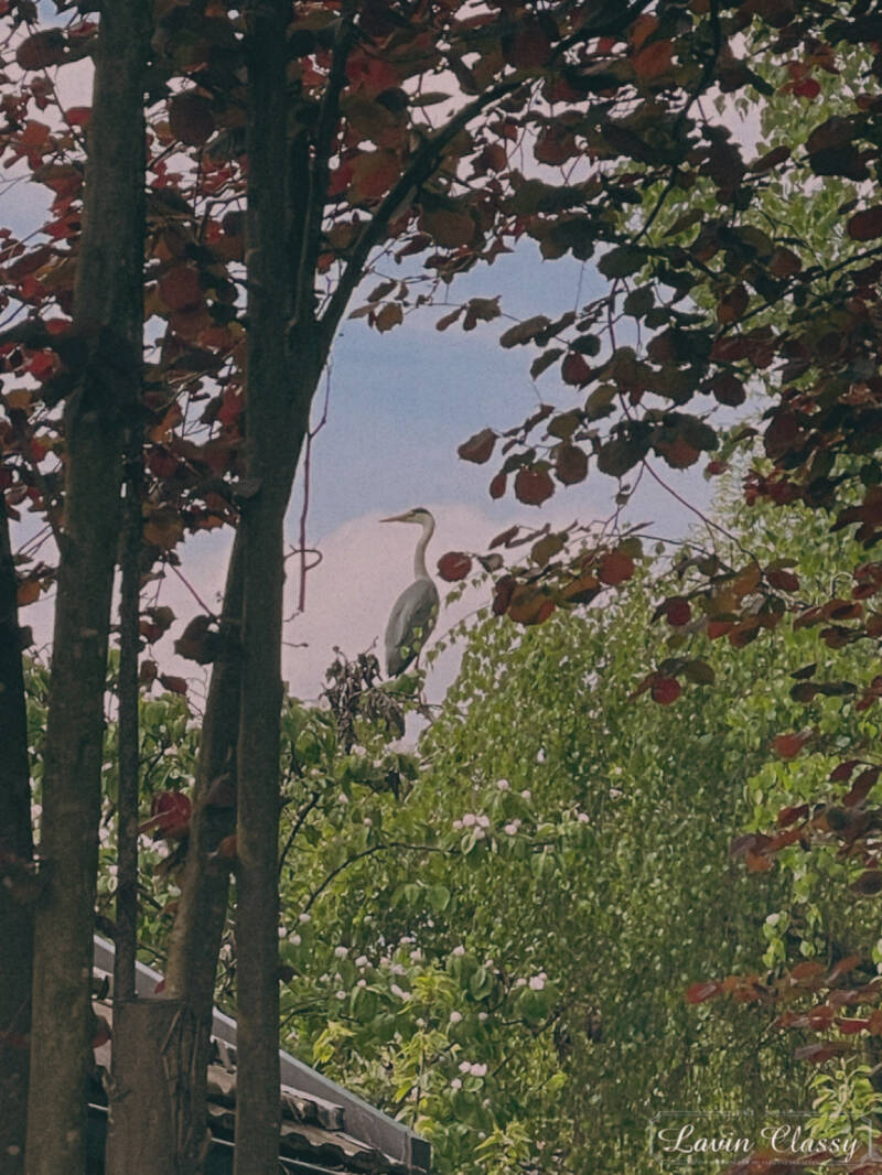 {Maur, Zürich Schweiz · 21. April 2026} 