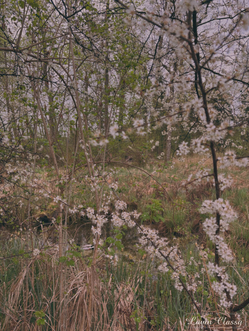 {Maur, Zürich Schweiz · 21. April 2026} 