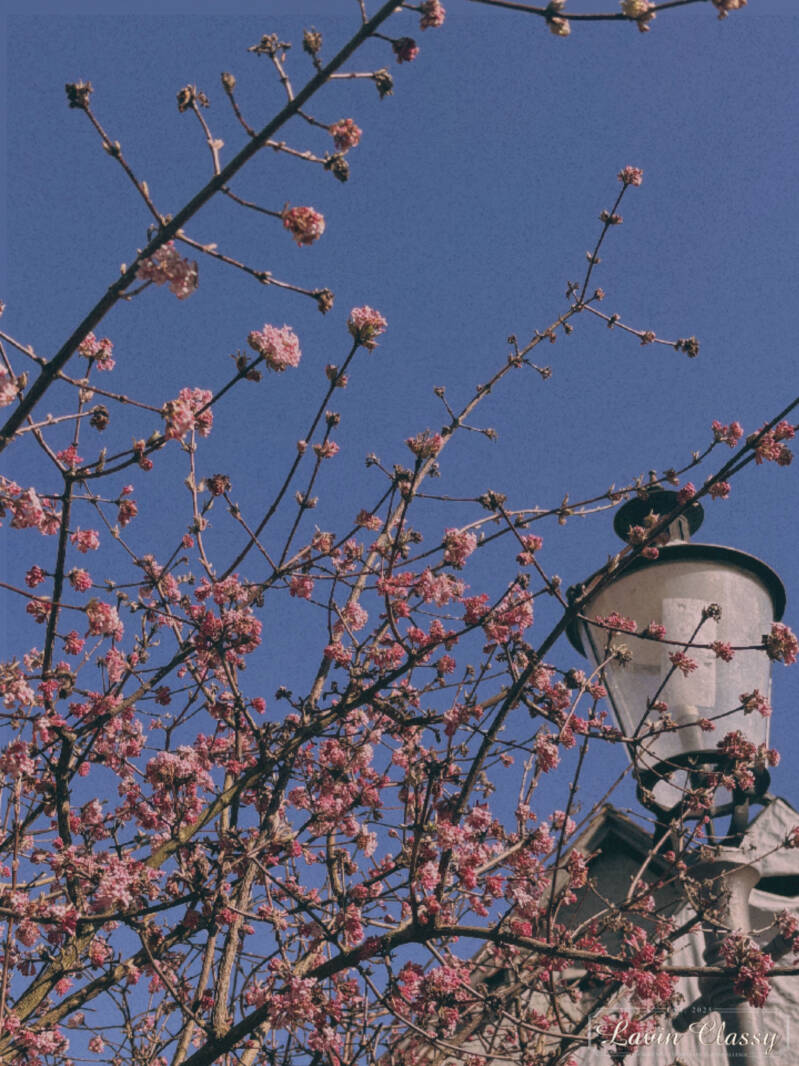 {Maur, Zürich Schweiz · 21. April 2026} 