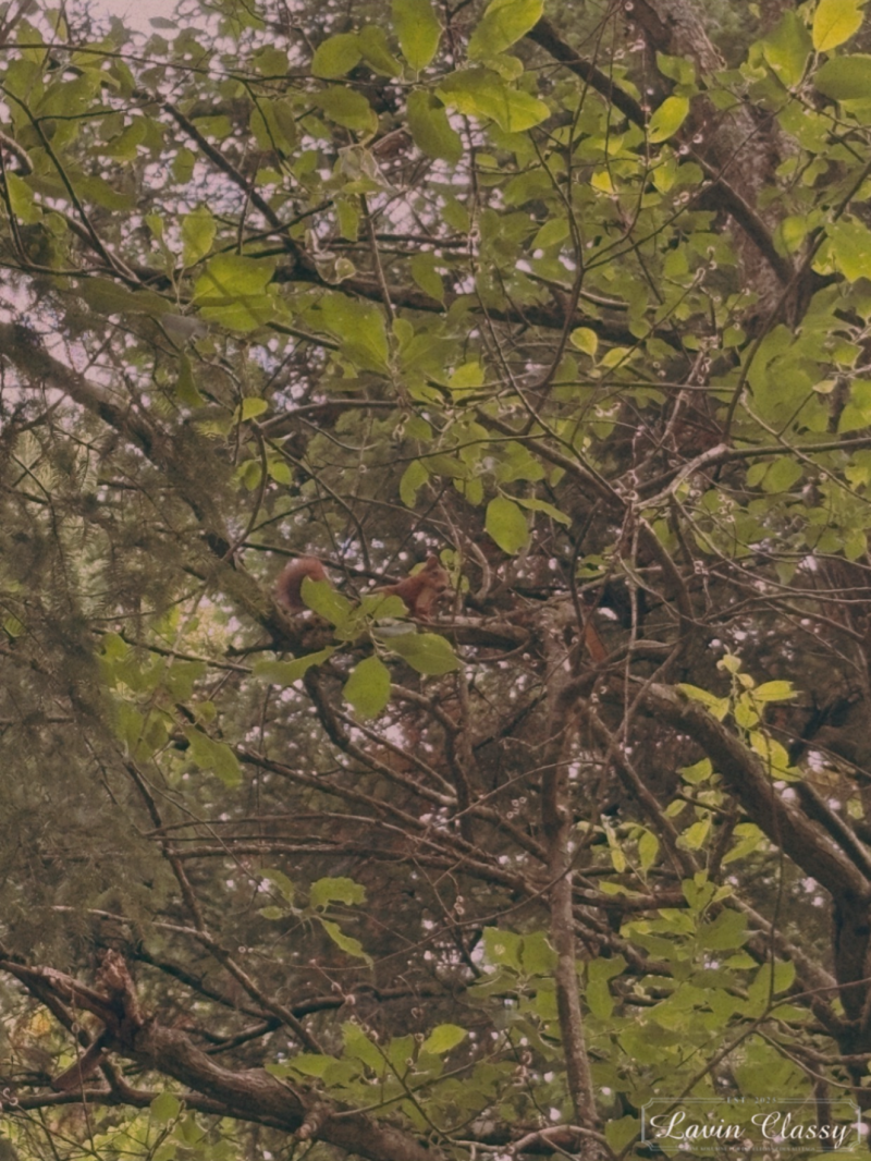 {Maur, Zürich Schweiz · 21. April 2026} 