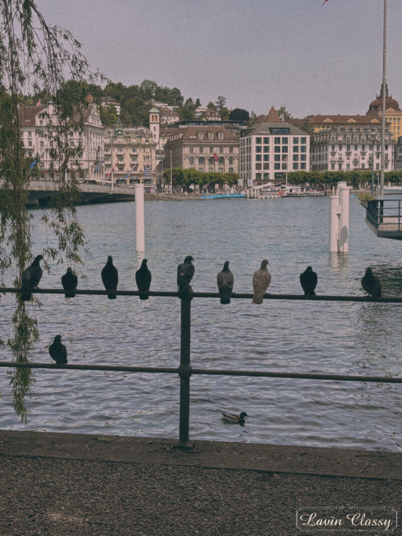 {Maur, Zürich Schweiz · 21. April 2026} 