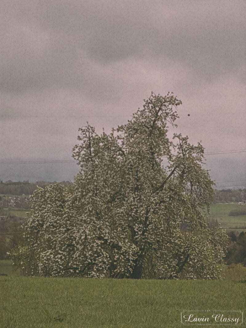 {Maur, Zürich Schweiz · 21. April 2026} 