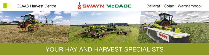 Swayn McCabe
